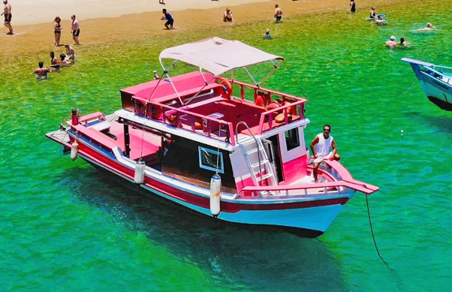 Barco_Brenda_02