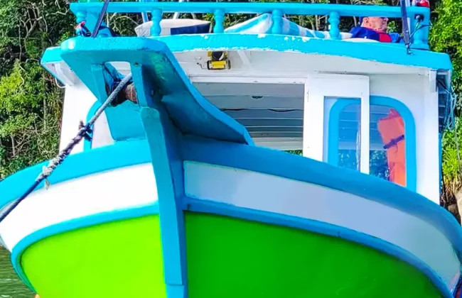 Barco_Lirio_dos_Vales_03